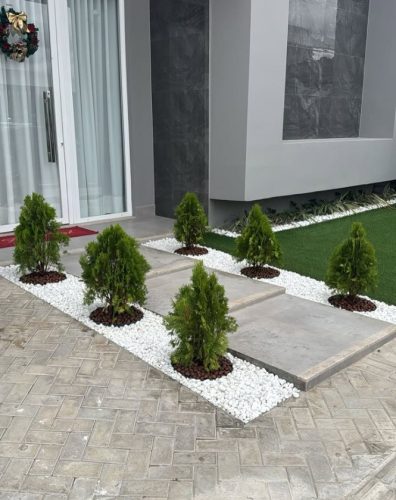 PAVGREEN