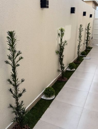 PAVGREEN